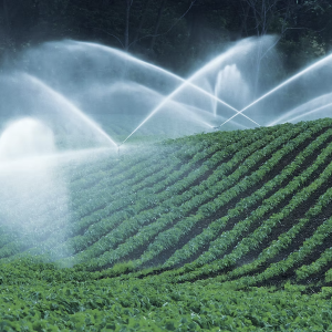 FRESH COAST CLIMATE SOLUTIONS WATER STEWARDSHIP